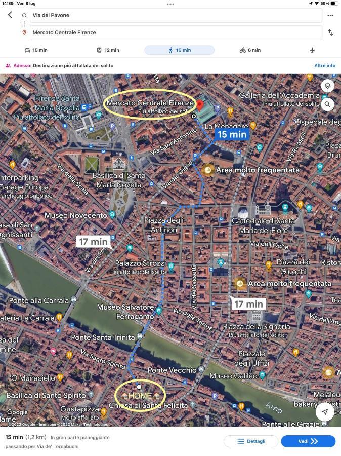 Uffizi & Santo Spirito Family/Groups Apartment Florencia Exterior foto